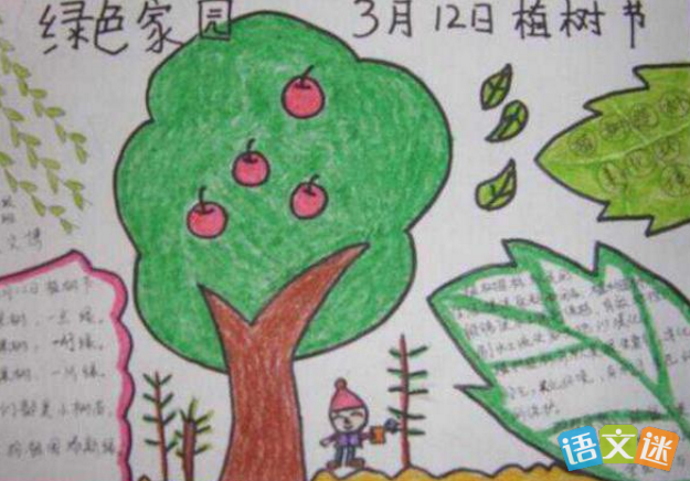 苗苗报简单的手抄报 简单的手抄报