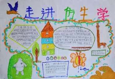 关于仿生知识的手抄报 卫生知识手抄报