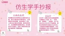 关于仿生知识的手抄报 卫生知识手抄报