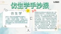 关于仿生知识的手抄报 卫生知识手抄报
