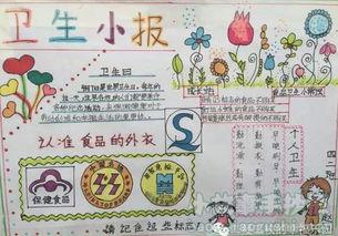 关于仿生知识的手抄报 卫生知识手抄报