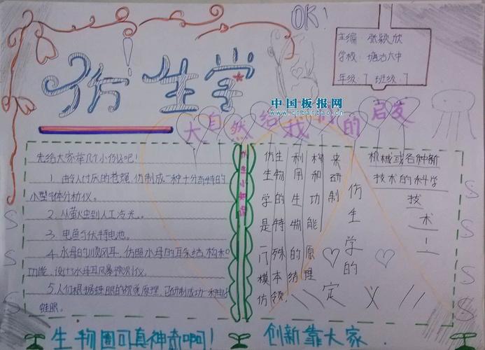 关于仿生知识的手抄报 卫生知识手抄报
