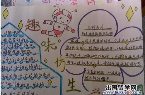 关于仿生知识的手抄报 卫生知识手抄报
