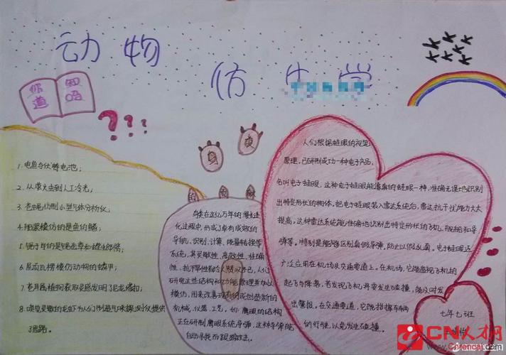 关于仿生知识的手抄报 卫生知识手抄报