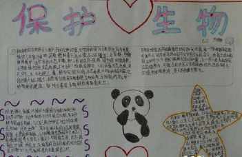 关于仿生知识的手抄报 卫生知识手抄报