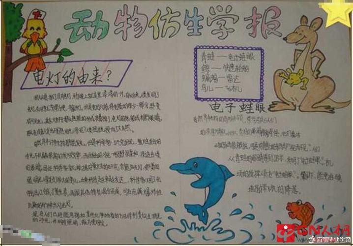 关于仿生知识的手抄报 卫生知识手抄报