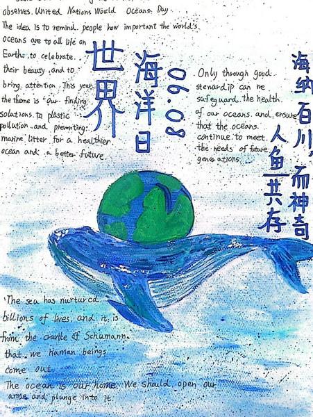 缤纷世界海洋手抄报 关于海洋的手抄报