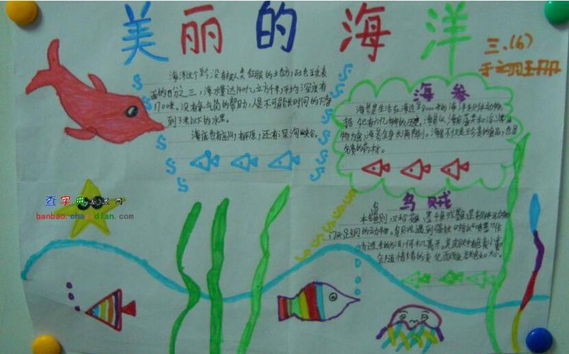 缤纷世界海洋手抄报 关于海洋的手抄报