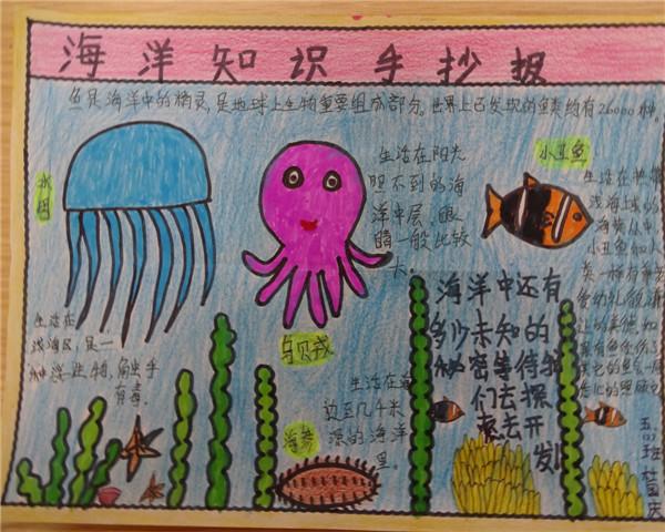 缤纷世界海洋手抄报 关于海洋的手抄报