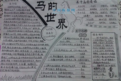 四年级有关马的手抄报 四年级手抄报
