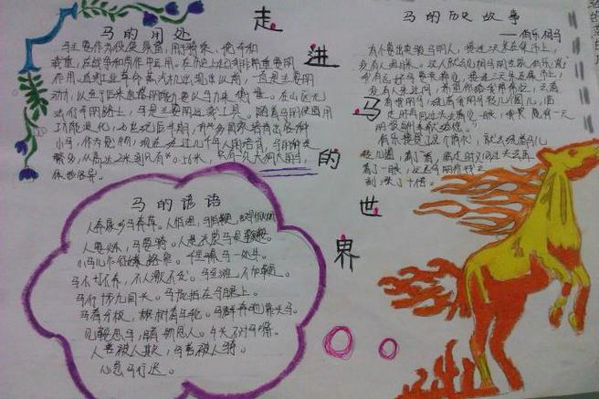 四年级有关马的手抄报 四年级手抄报