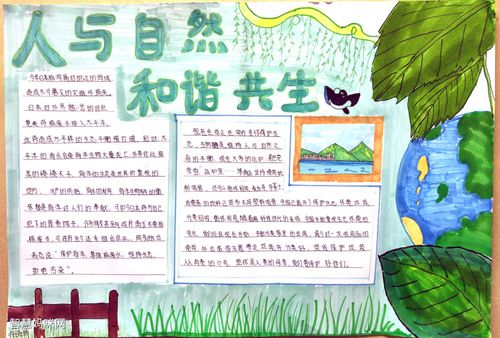 走进自然感受美丽手抄报 感受自然手抄报