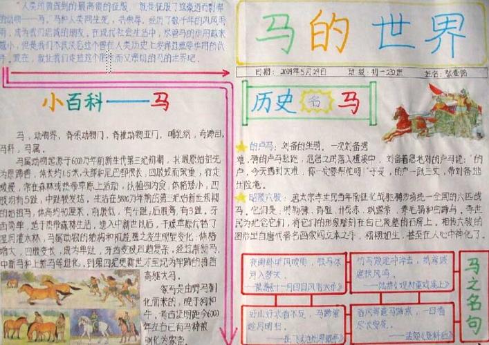 四年级有关马的手抄报 四年级手抄报