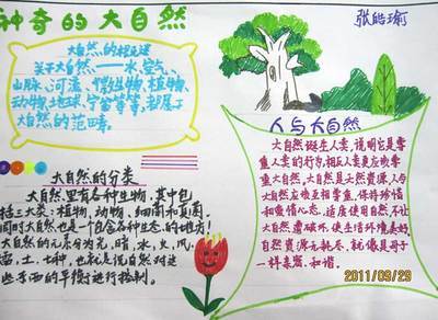 走进自然感受美丽手抄报 感受自然手抄报