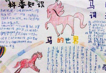 四年级有关马的手抄报 四年级手抄报