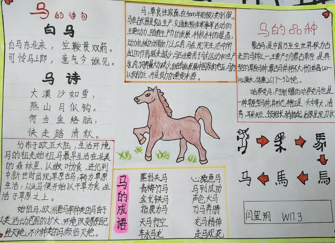 四年级有关马的手抄报 四年级手抄报