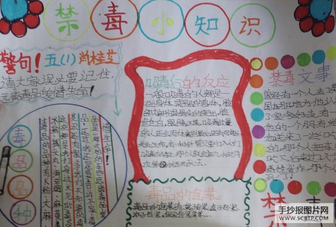 最新最全小学生手抄报 小学生手抄报