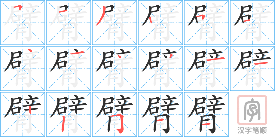 《臂》的笔顺分步演示（一笔一画写字）