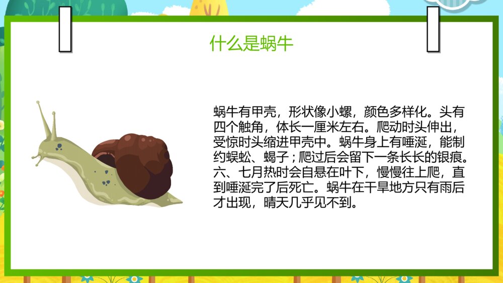 语文部编版一年级上册《小蜗牛》教育教学课件2