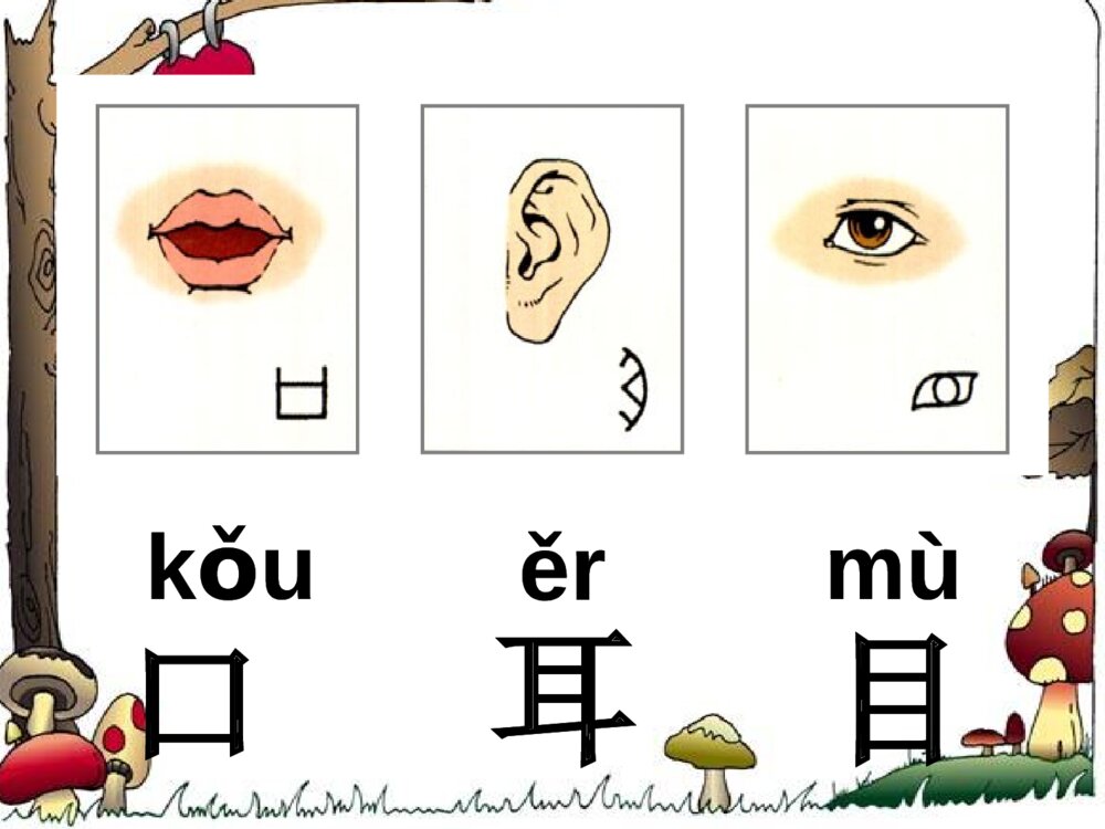 一年级人教版语文上册口耳目课件ppt8