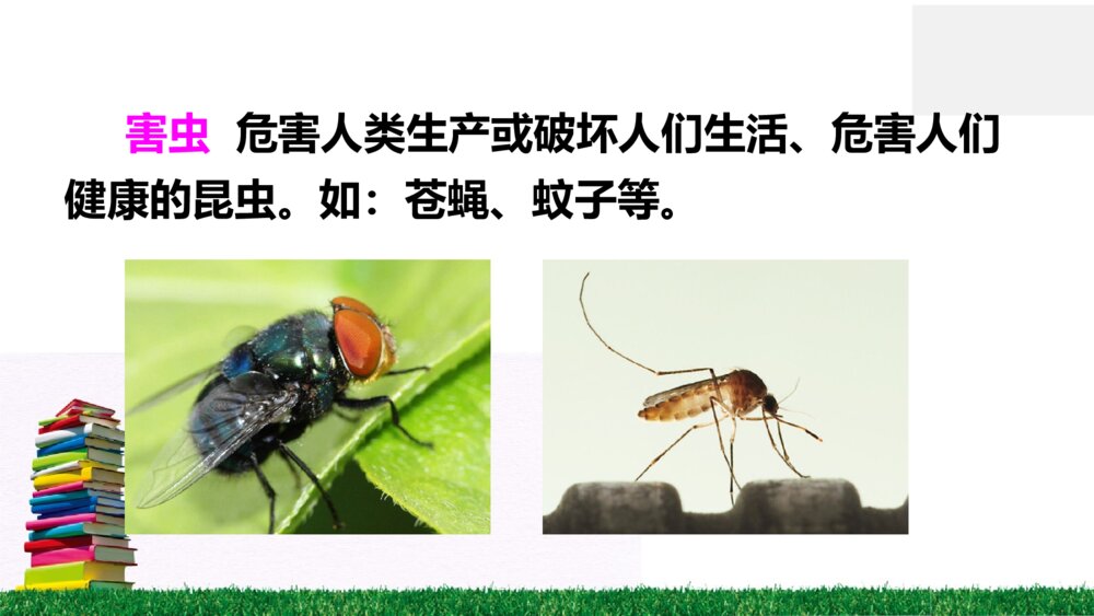 一年级语文下册动物儿歌（识字）课件PPT6