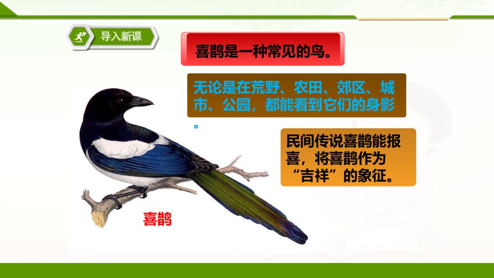 人教版一年级语文下册树和喜鹊PPT课件2