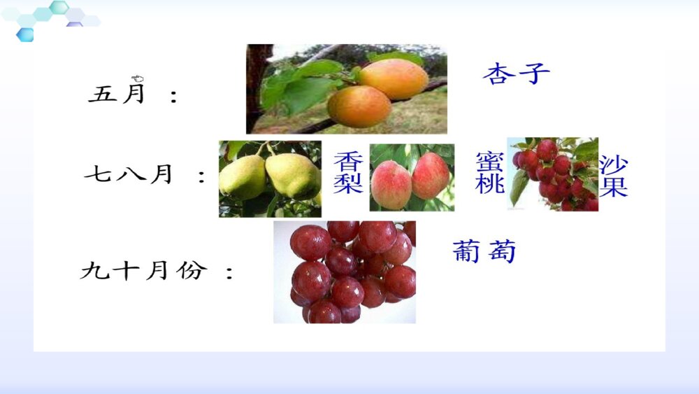 二年级语文下册葡萄沟课件PPT8