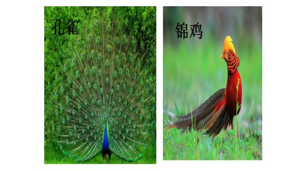 二年级语文上册识字 拍手歌PPT课件3
