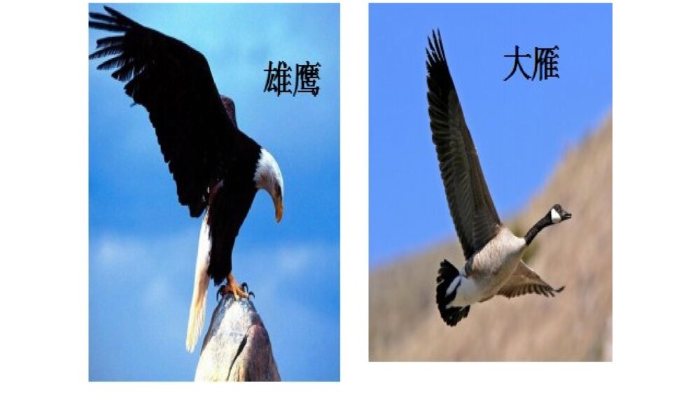 二年级语文上册识字 拍手歌PPT课件4