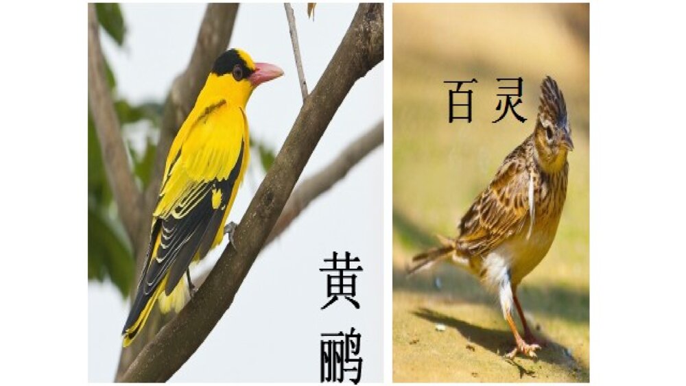 二年级语文上册识字 拍手歌PPT课件6