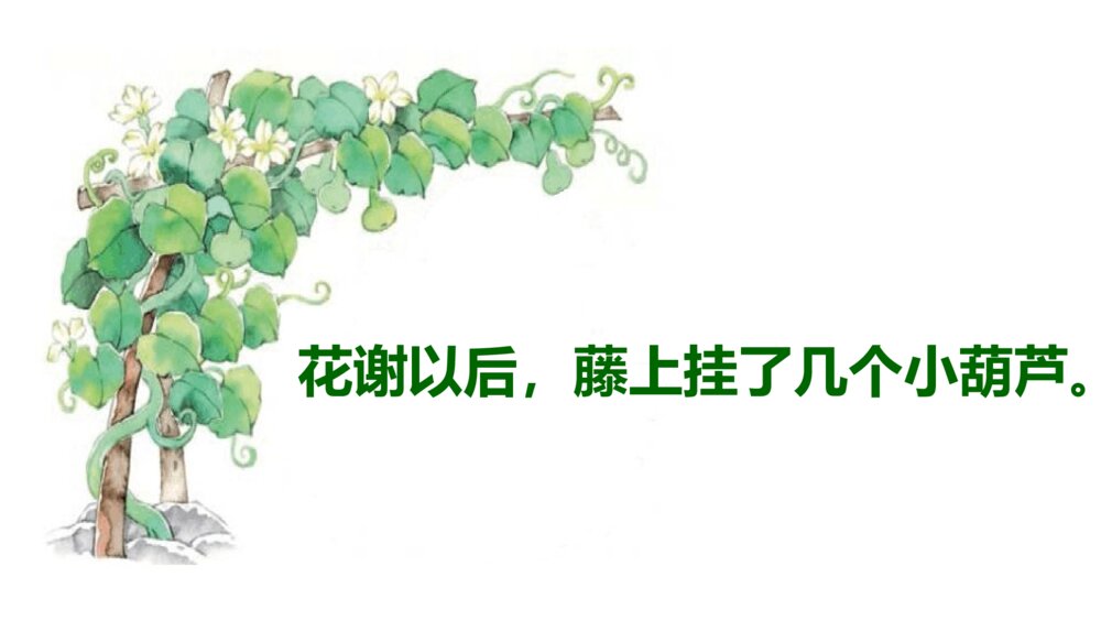 小学二年级语文上册 我要的是葫芦 课件PPT7
