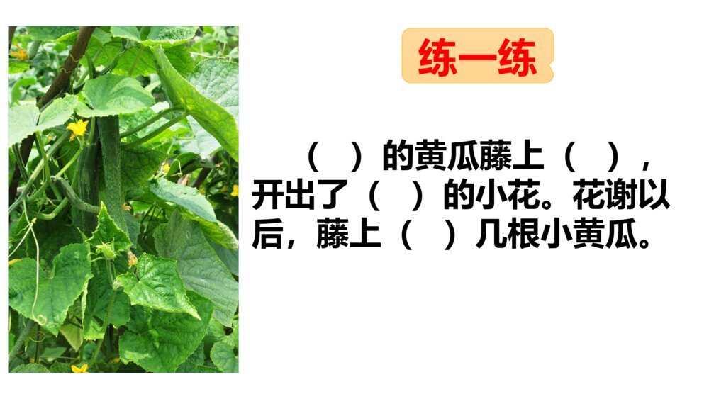 小学二年级语文上册 我要的是葫芦 课件PPT8