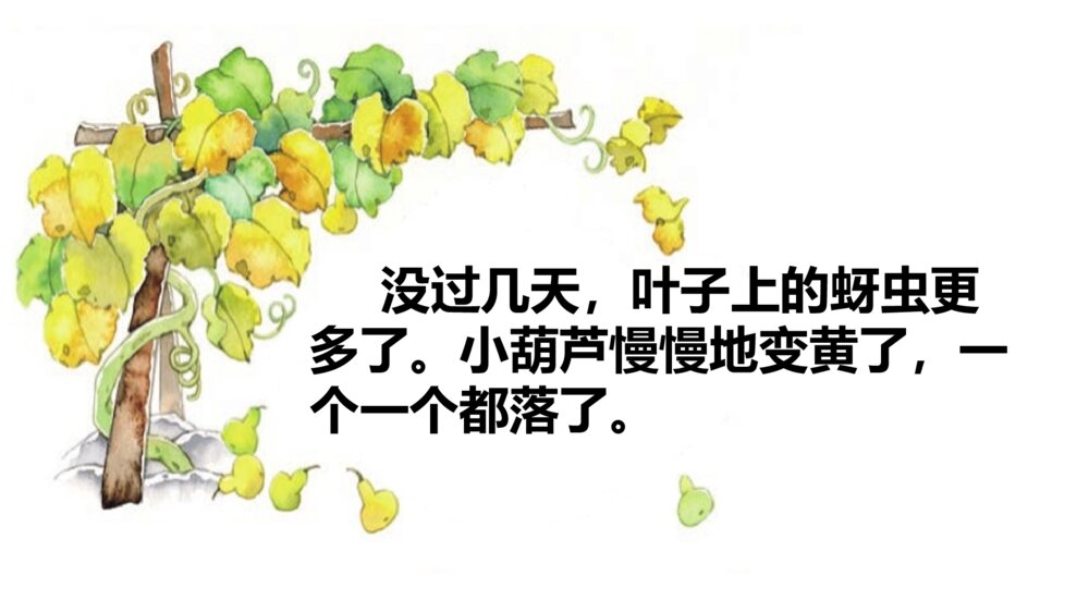 小学二年级语文上册 我要的是葫芦 课件PPT10