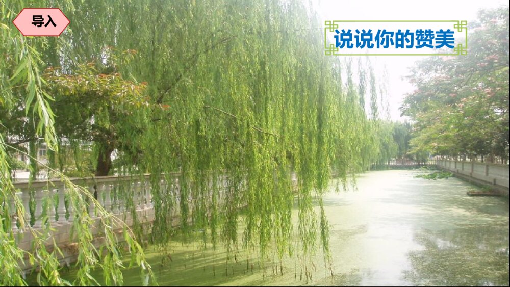 部编版语文二年级下册 咏柳 PPT课件pptx3