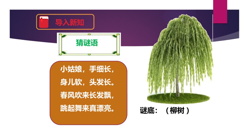 二年级语文下册 咏 柳 PPT课件2