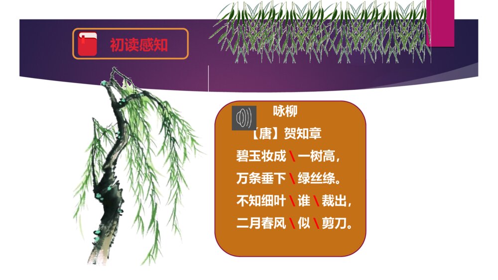 二年级语文下册 咏 柳 PPT课件5
