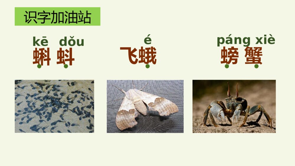 三年级语文上册 第六单元 语文园地 PPT课件9