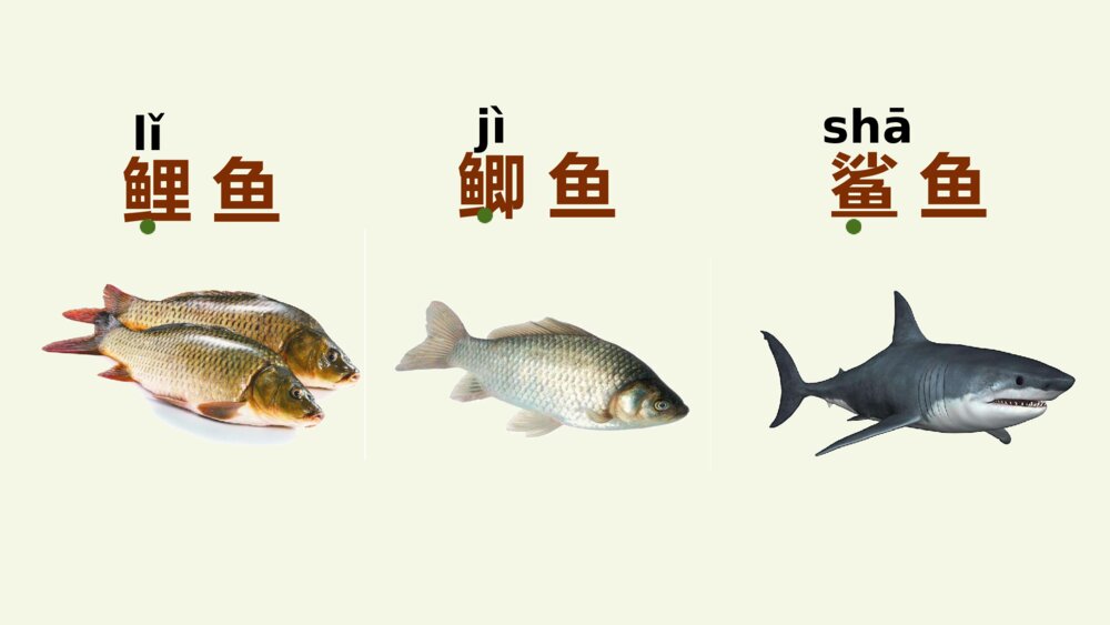 三年级语文上册 第六单元 语文园地 PPT课件10