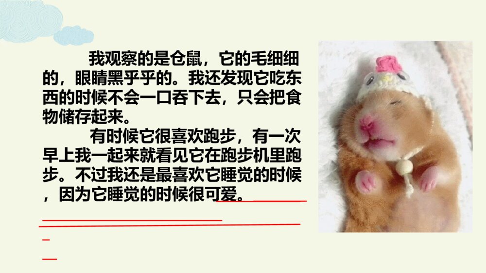 语文三年级上册 习作例文 我家的小狗 PPT课件3