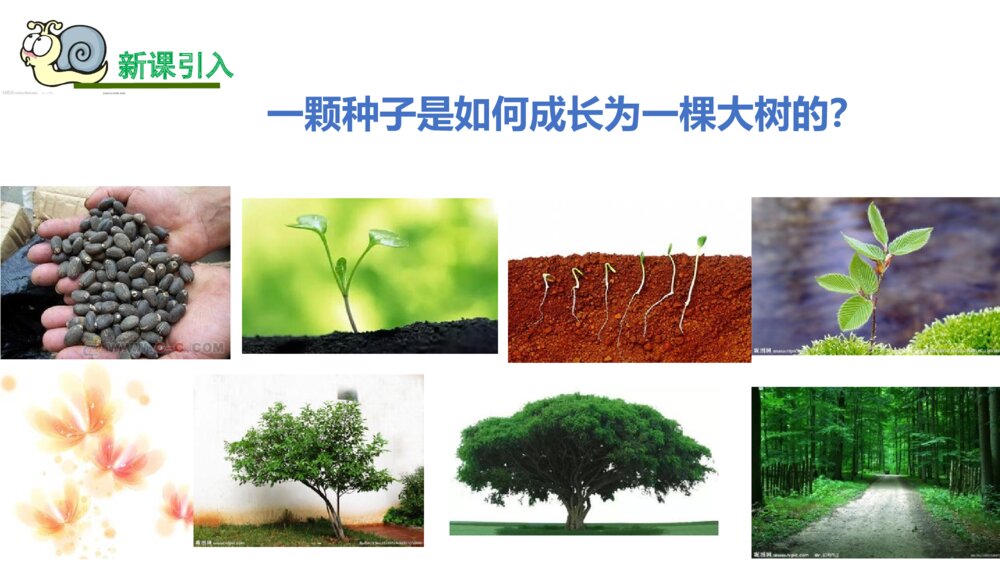 三年级语文上册 那一定会很好 PPT课件2