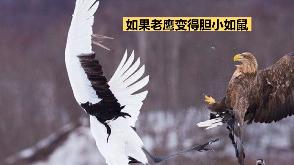 三年级语文下册 习作 这样想象真有趣 PPT课件4
