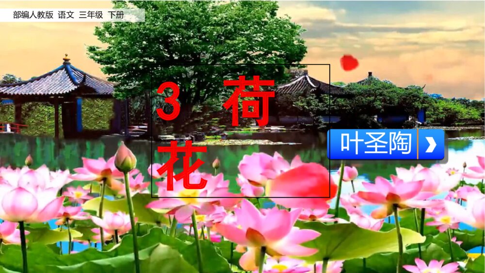 人教版语文三年级下册 荷花 PPT课件5