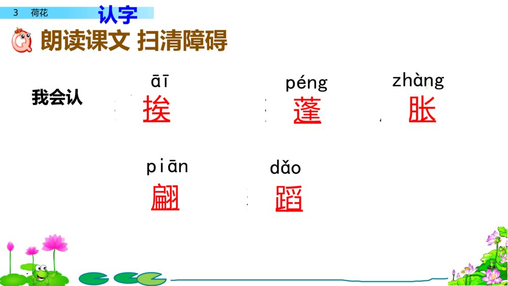 人教版语文三年级下册 荷花 PPT课件8