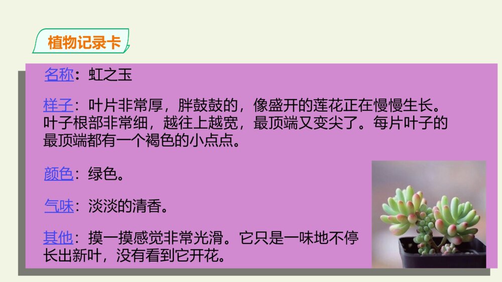 三年级语文下册 习作 我的植物朋友 PPT课件 10