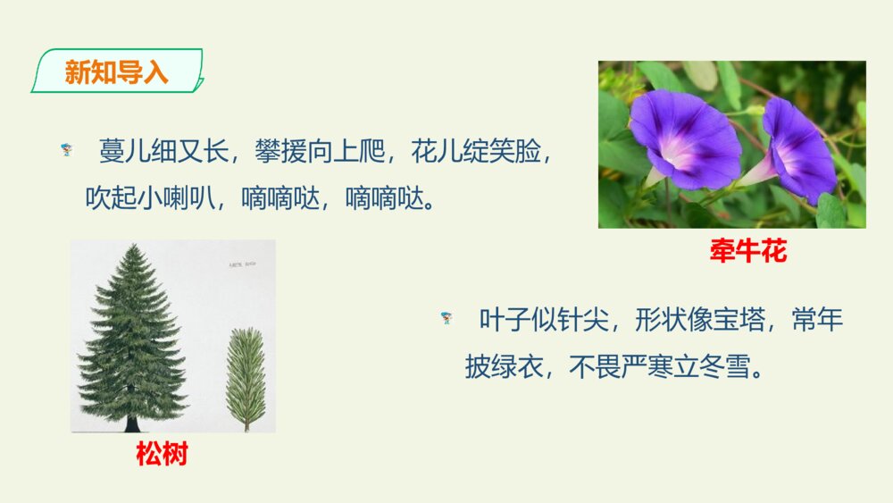 三年级语文下册 习作 我的植物朋友 PPT课件 3