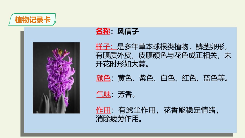 三年级语文下册 习作 我的植物朋友 PPT课件 9