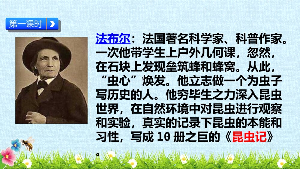 三年级语文下册 第四单元 蜜蜂 PPT课件7
