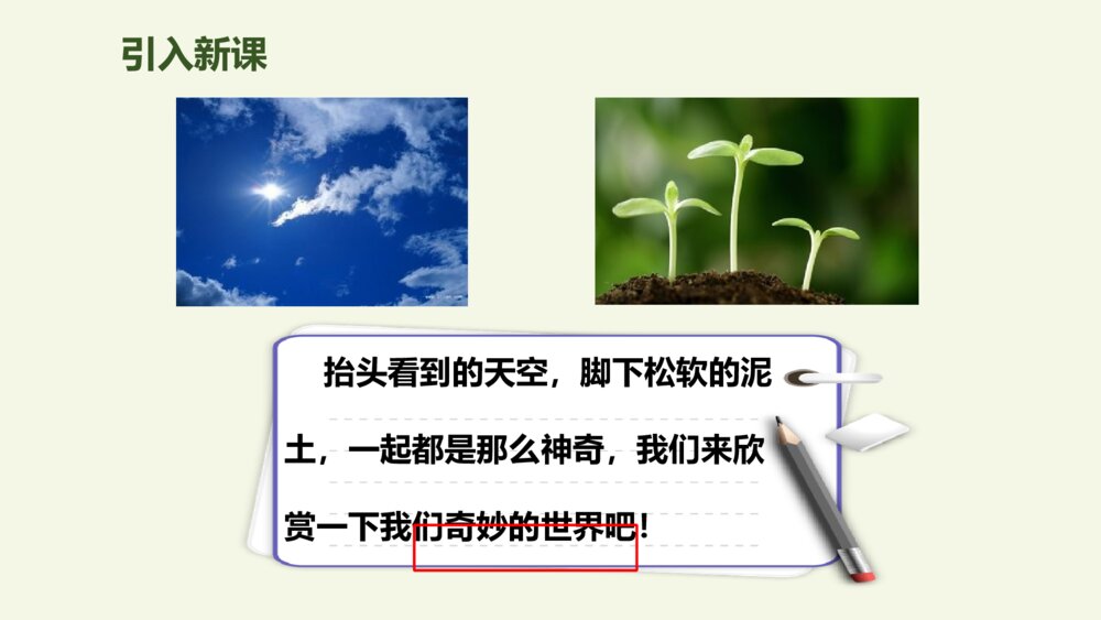 三年级语文下册 我们的奇妙世界 PPT课件2