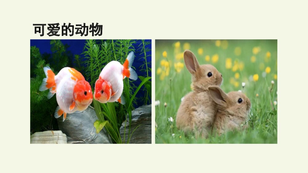 四年级语文上册 第三单元习作:写观察日记 PPT课件6