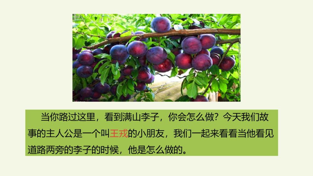 四年级语文上册 第八单元 25王戎不取道旁李 PPT课件3